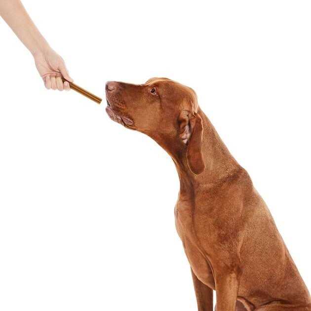 True Acre Foods All-Natural Dental Chew Sticks - Nail Gallerys