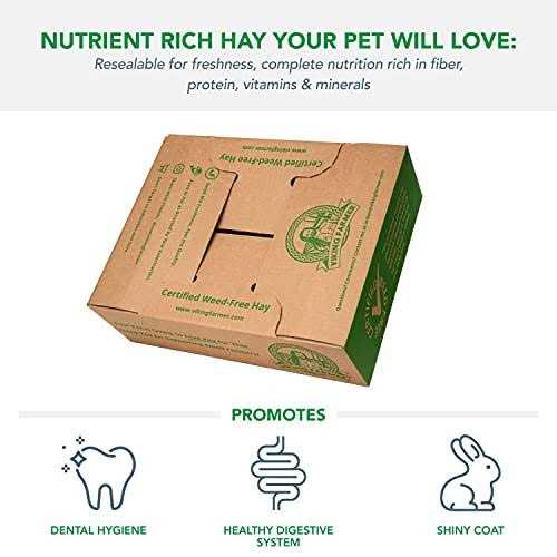 Viking Farmer Alfalfa Hay for Rabbits & Small Pets - Nail Gallerys