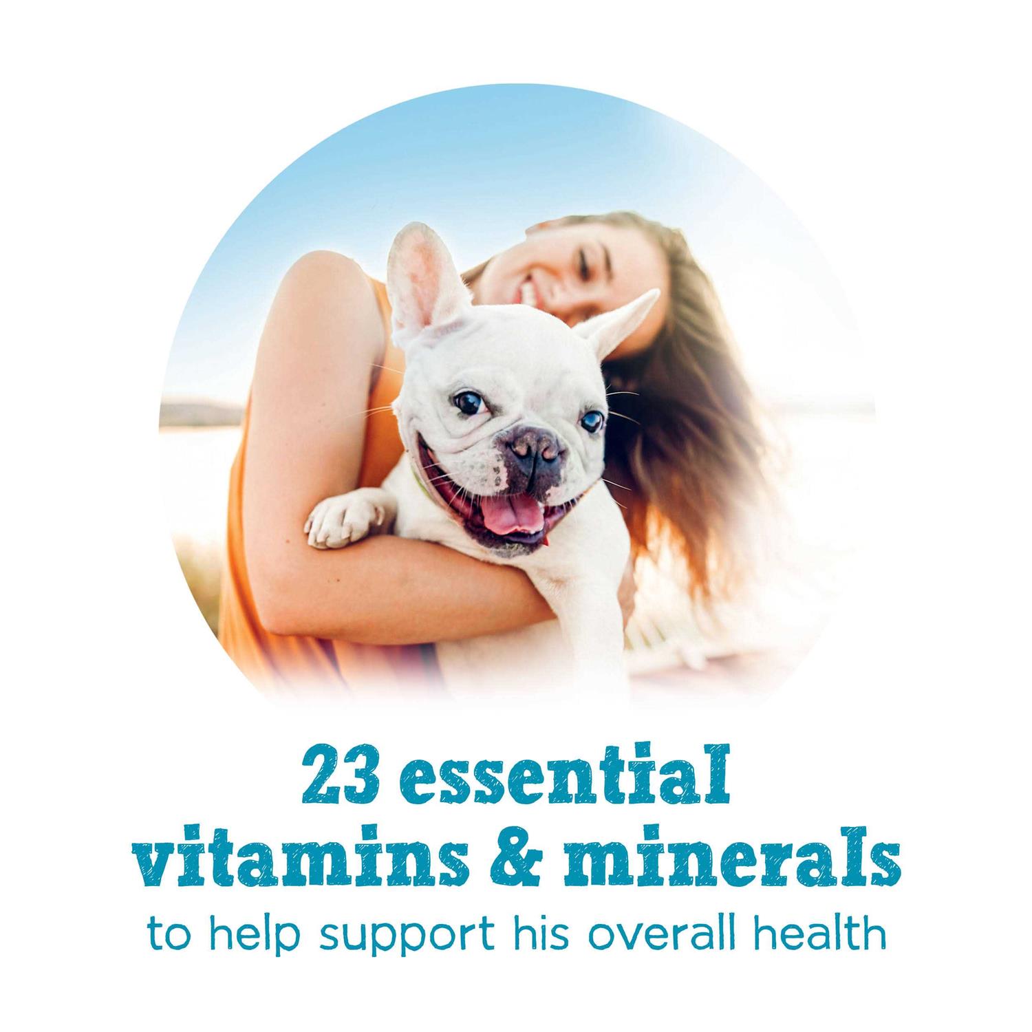 Purina Beneful Small Breed Wet Dog Food - Nail Gallerys