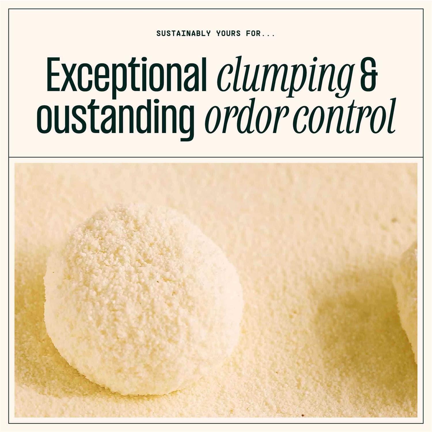 Sustainably Yours Multi Cat Plus Litter - Nail Gallerys