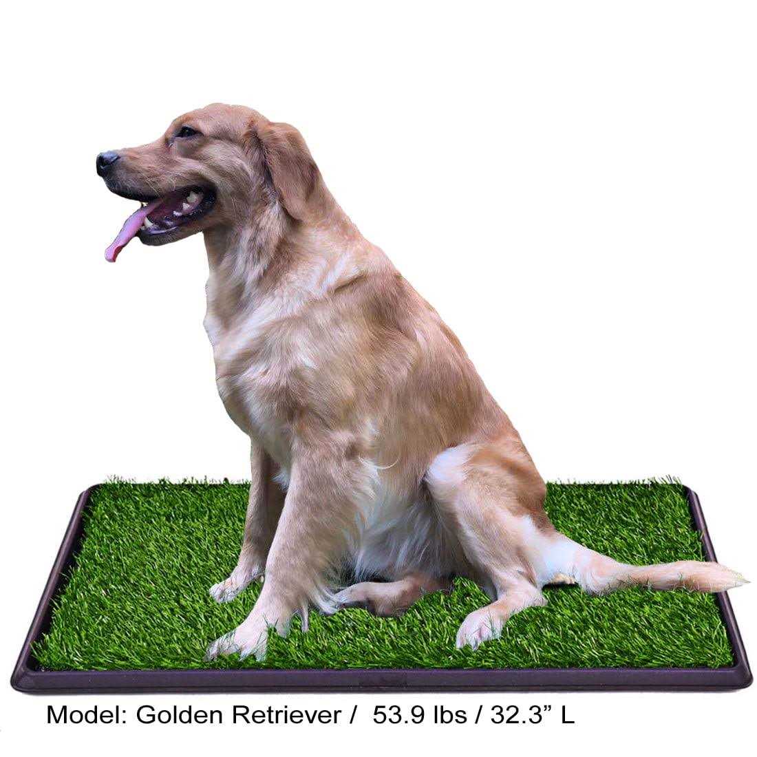 Lomantown Fake Grass Dog Potty Pad Portable Dog Turf Trainer Grass with Tray - Nail Gallerys