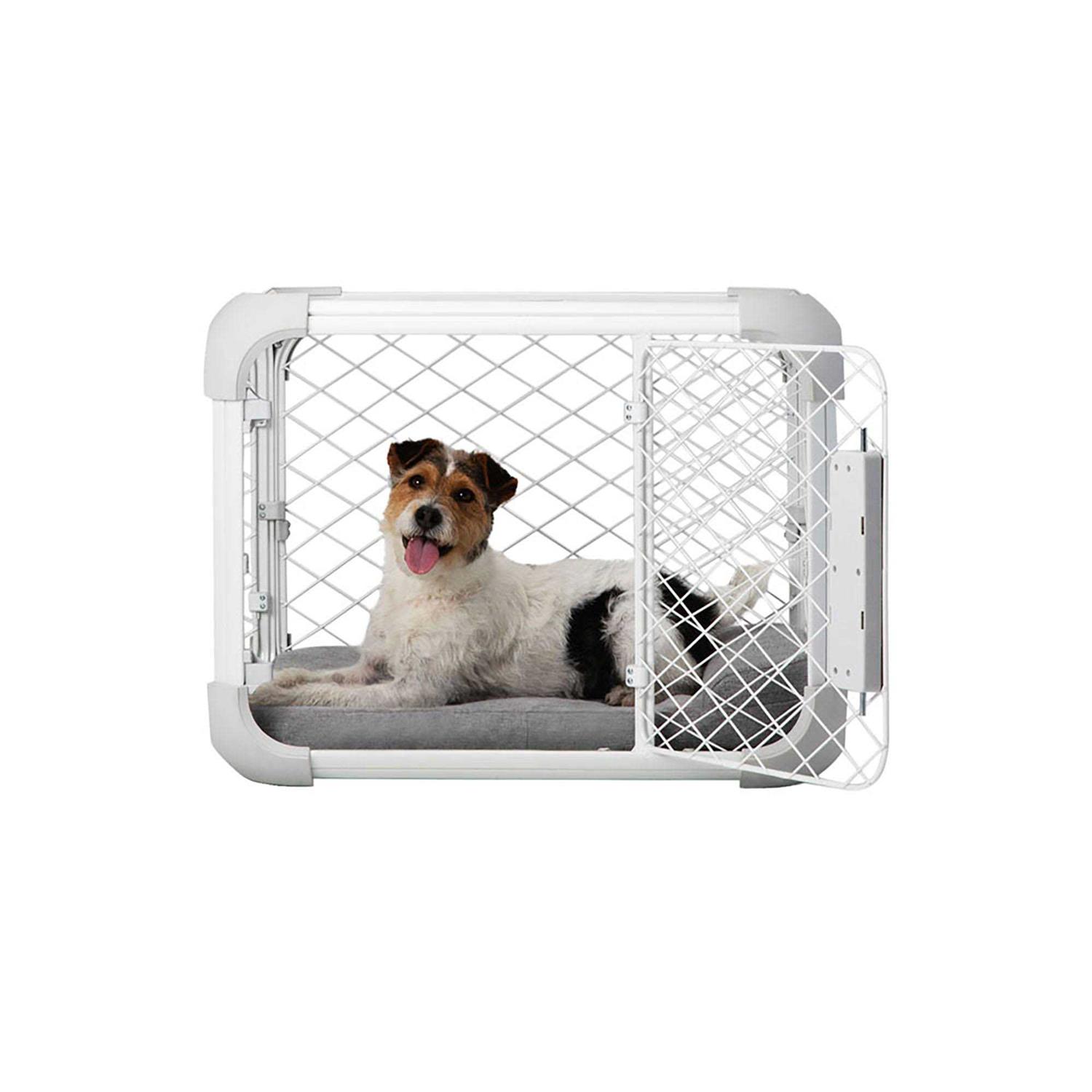 Diggs Evolv Dog Crate - Nail Gallerys