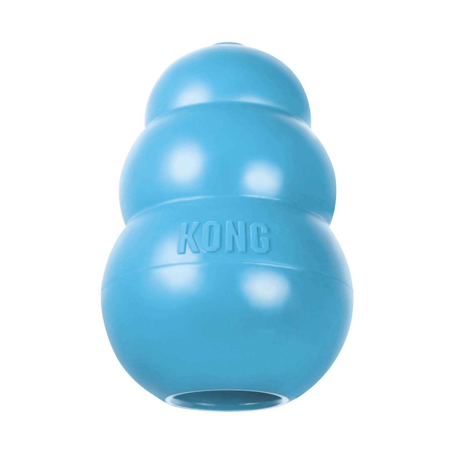 KONG Puppy Toy - Nail Gallerys