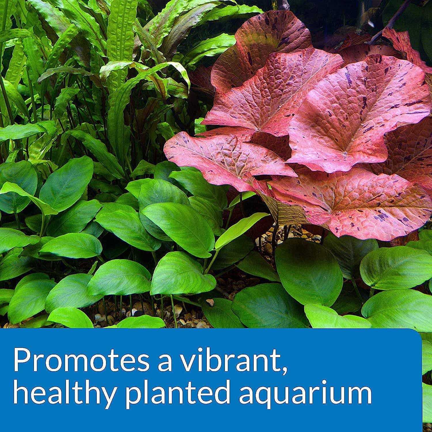 API CO2 Booster - Nail Gallerys