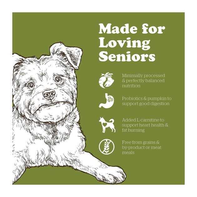 Now Fresh Grain-Free Senior Dry Dog Food - Nail Gallerys