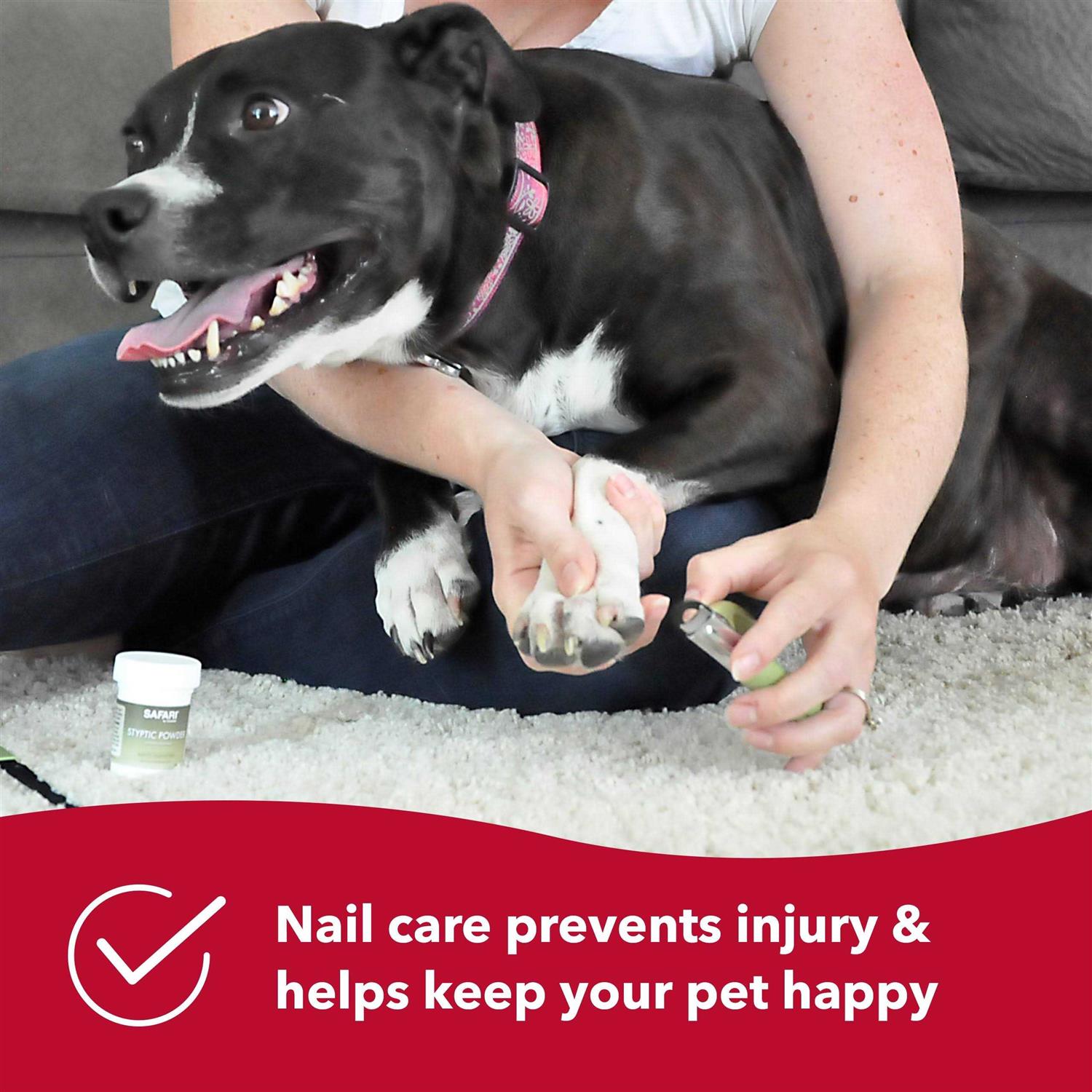 Safari Dog Guillotine Nail Trimmer - Nail Gallerys