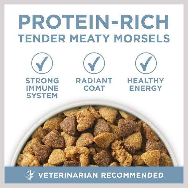 Purina ONE Joint Health Dry Dog Food - Nail Gallerys