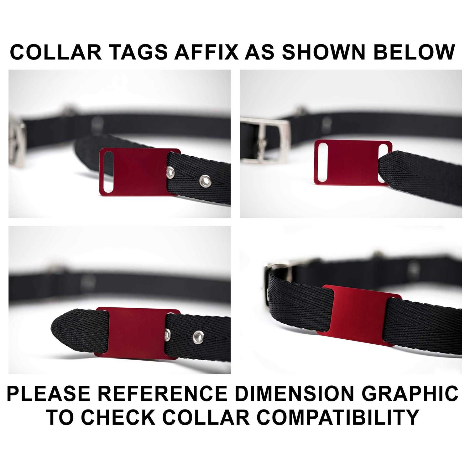 Slide-On Pet ID Tag Collar Tag - Nail Gallerys