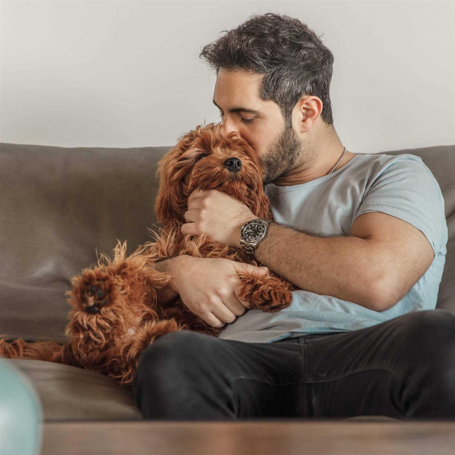 Jinx Salmon Sweet Potato Carrot Grain Free Dog Food - Nail Gallerys