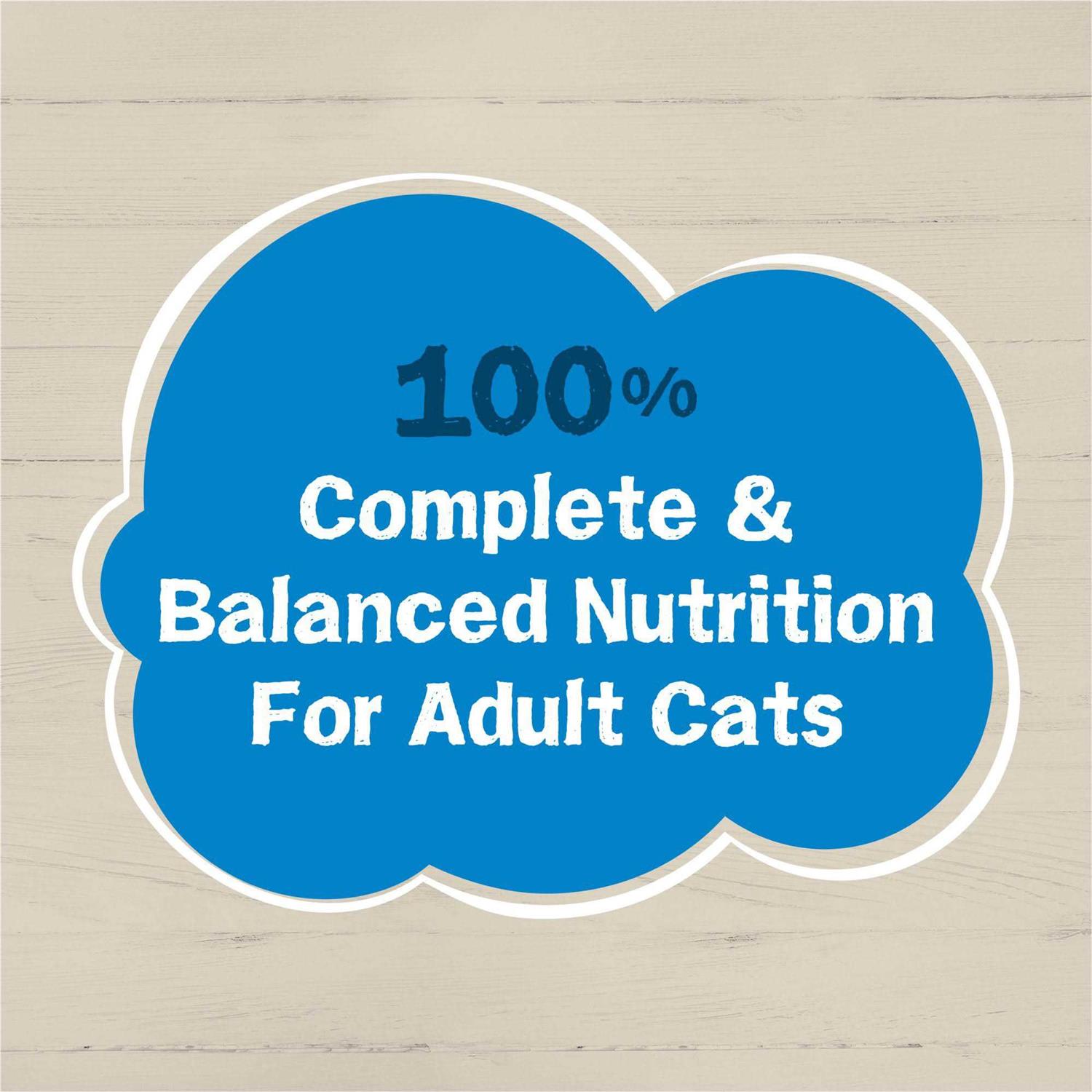 Purina Friskies Wet Cat Food Ocean Favorites - Nail Gallerys