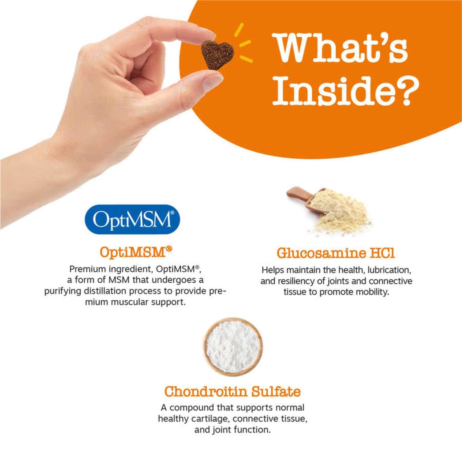 Zesty Paws Hip & Joint Mobility Bites for Dogs - Nail Gallerys