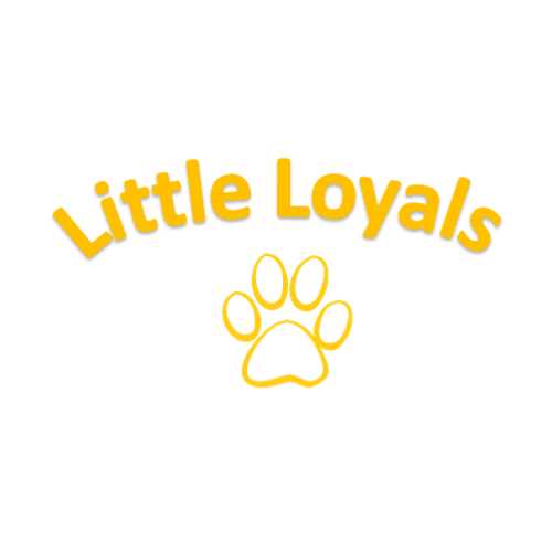 Little Loyals Premium Olive Wood Dog Chew - Nail Gallerys