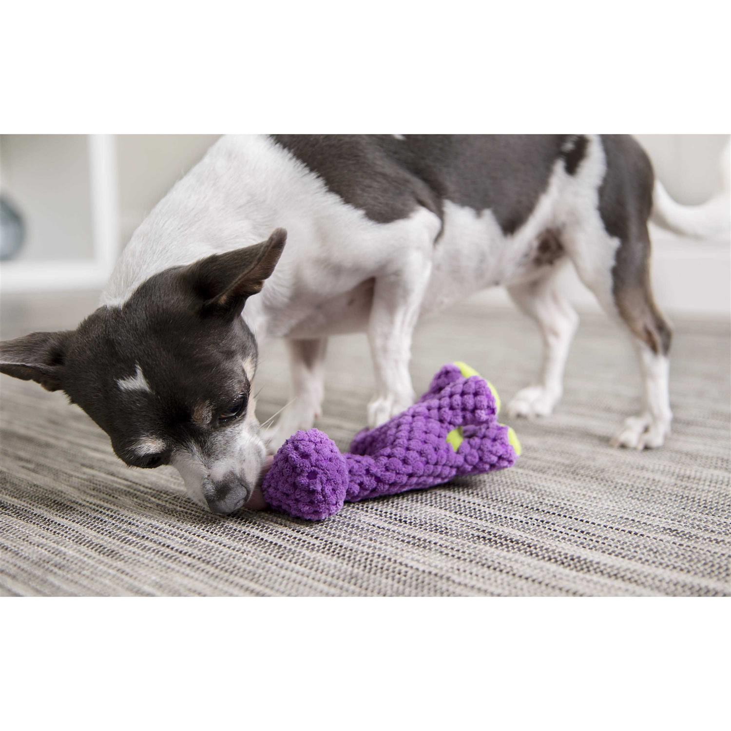 goDog Checkers Just For Me Dinos Bruto Squeaky Plush Dog Toy - Nail Gallerys