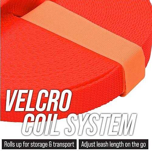 Leash Boss Leashboss Dog Leash - Nail Gallerys