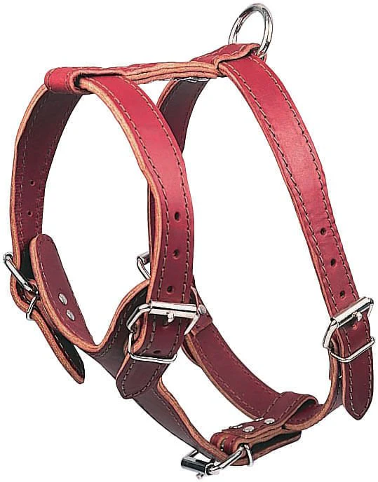 Latigo Leather Medium Harnesses, Plain - Nail Gallerys