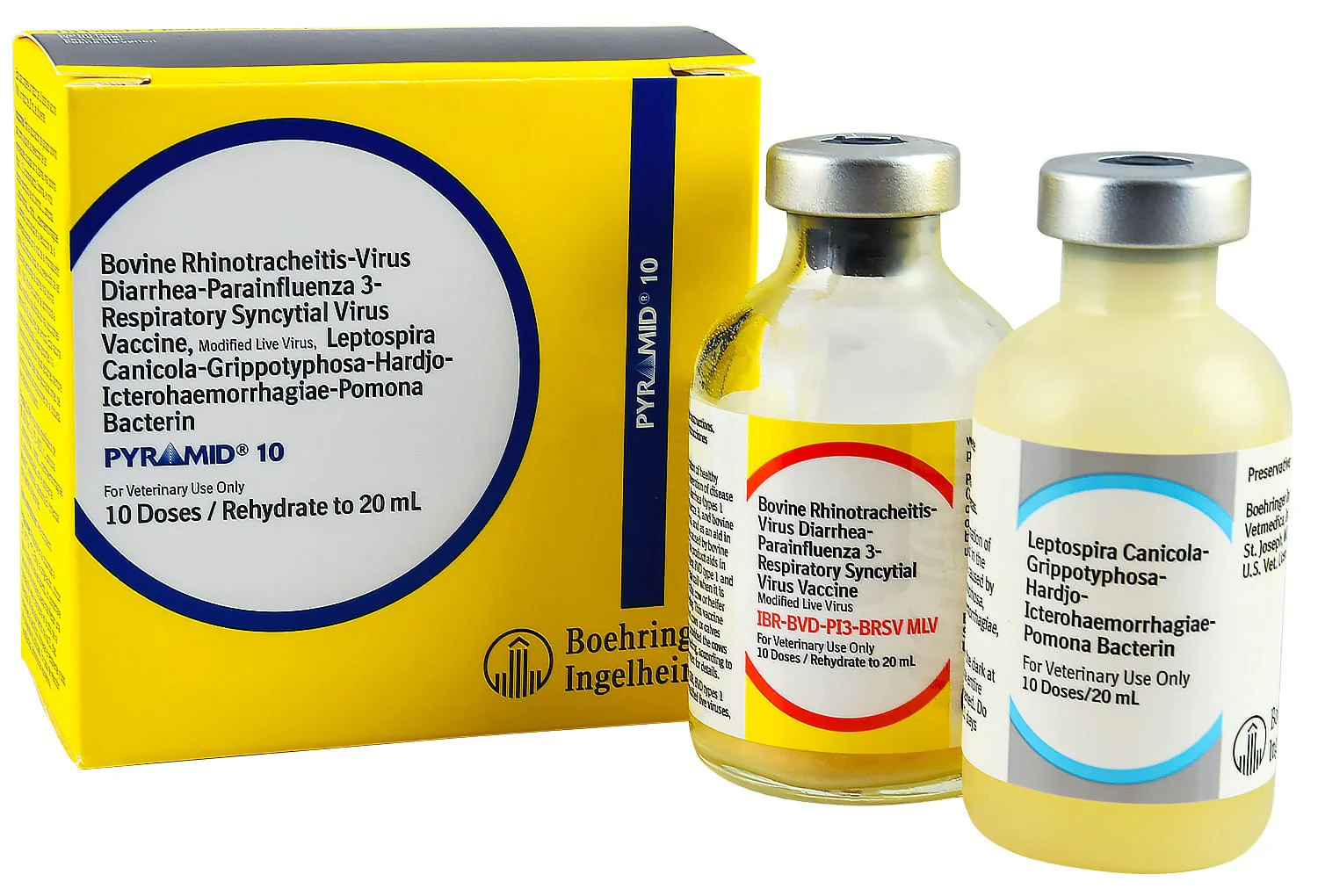 Pyramid 10 - Nail Gallerys