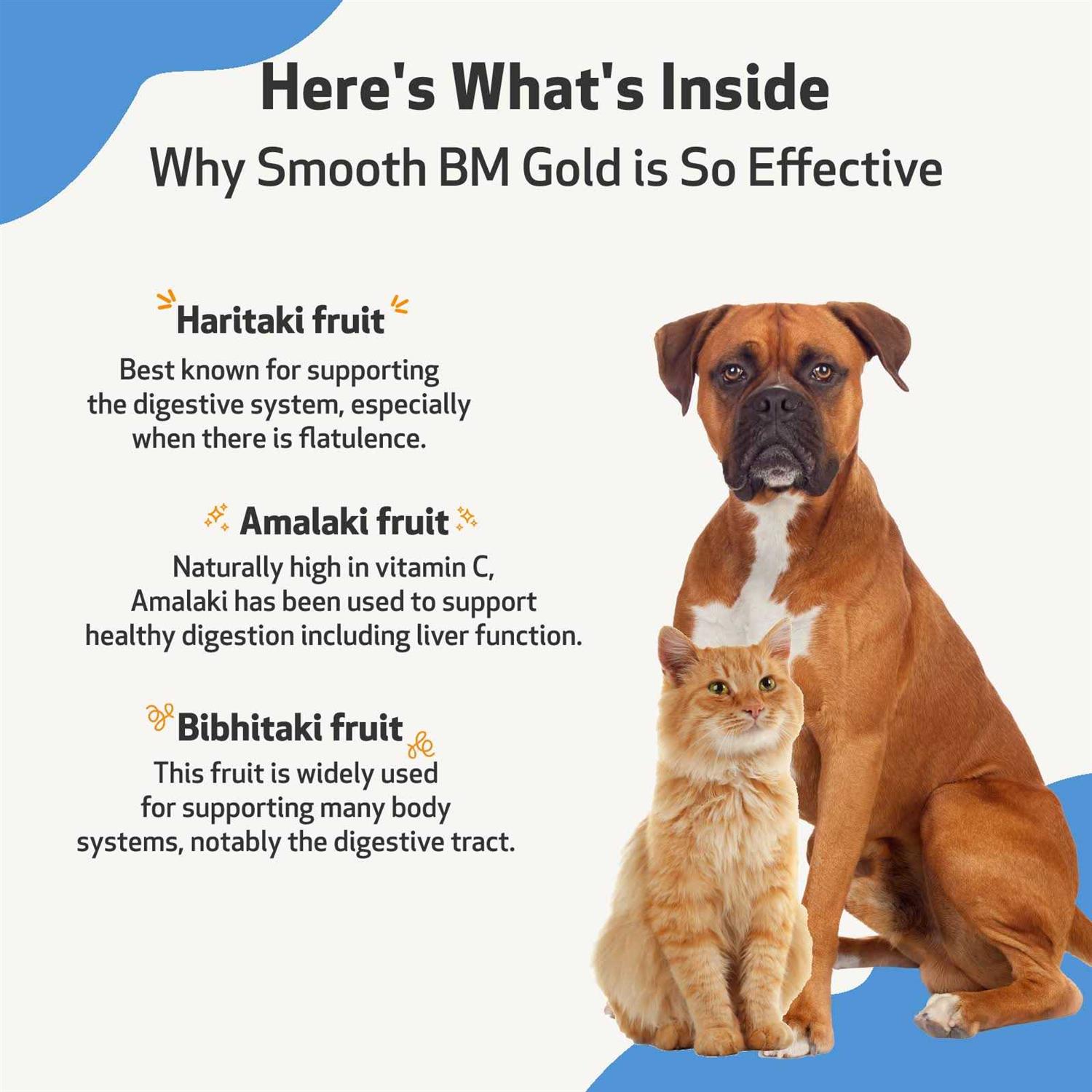 Pet Wellbeing Smooth BM Gold - Nail Gallerys