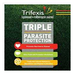 Trifexis for Dogs - Nail Gallerys