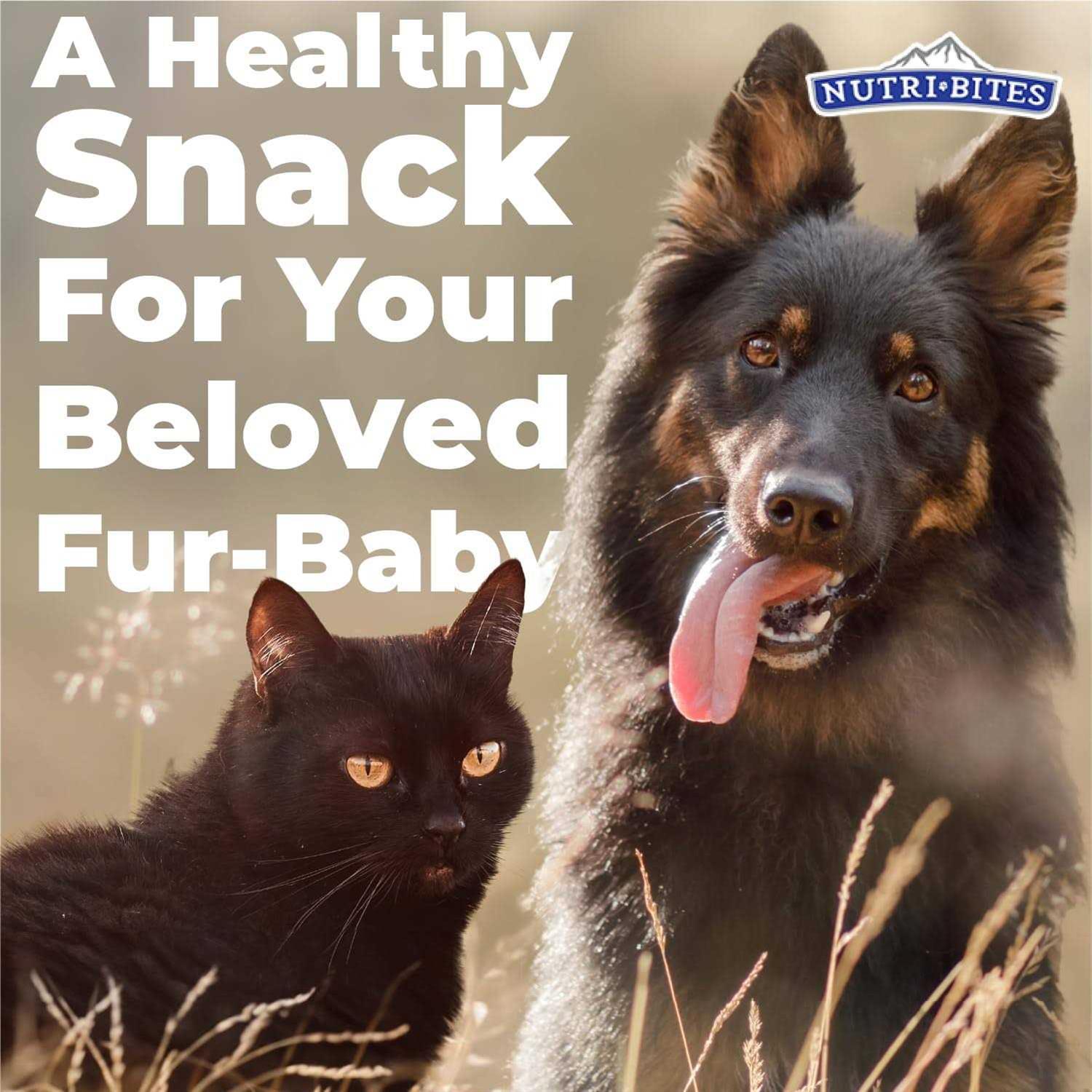 NutriBites Freeze Dried Beef Liver High Protein Dog & Cat Treats - Nail Gallerys