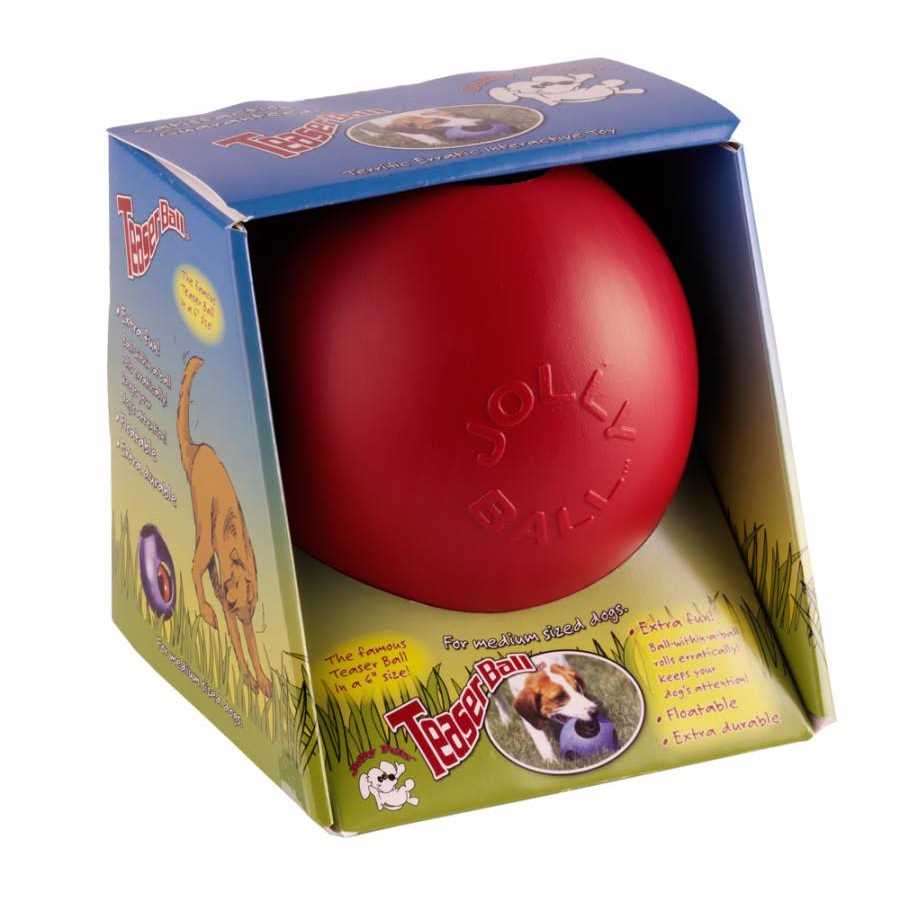 Jolly Pets Teaser Ball - Nail Gallerys