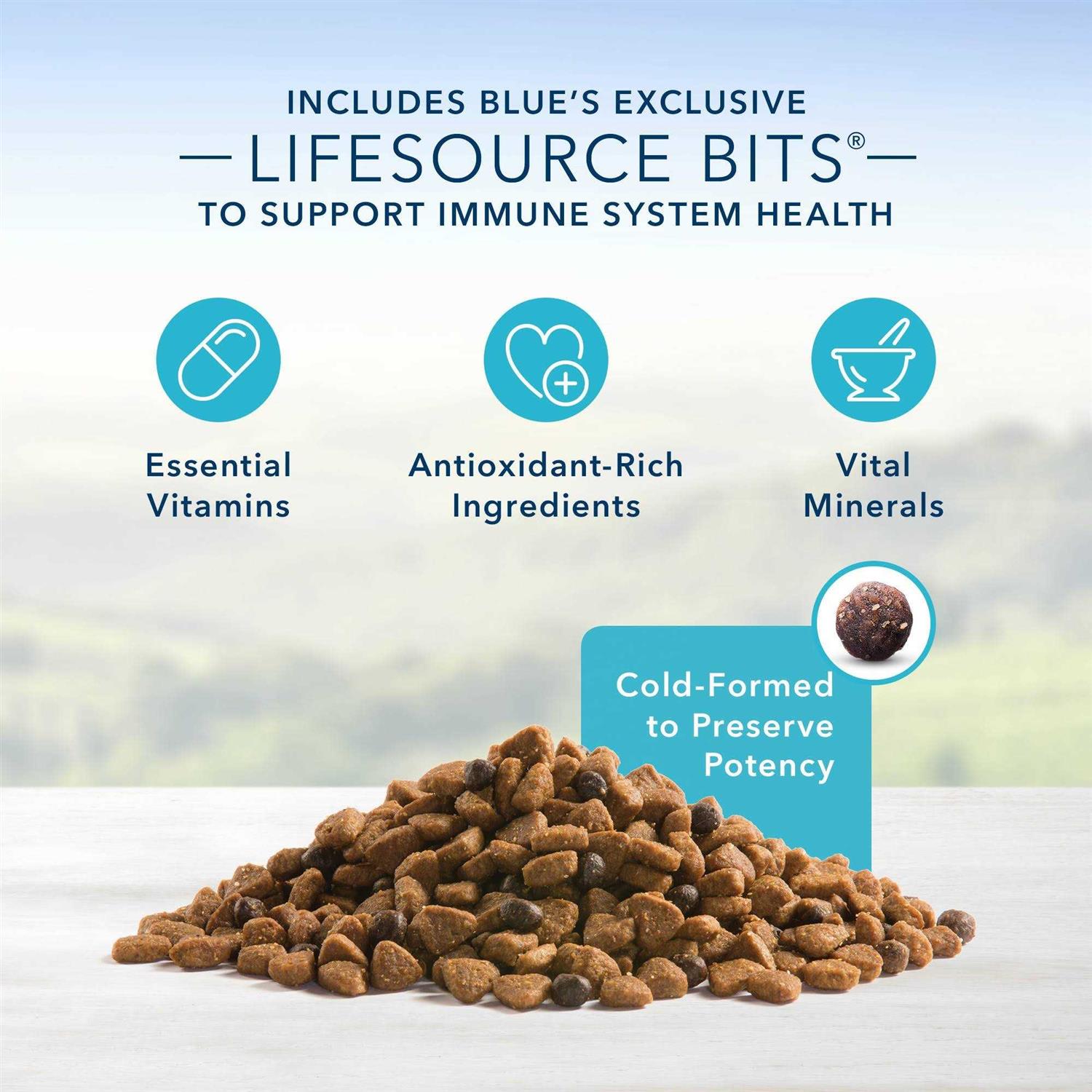 Blue Buffalo Life Protection Formula Adult Lamb & Brown Rice Dry Dog Food - Nail Gallerys