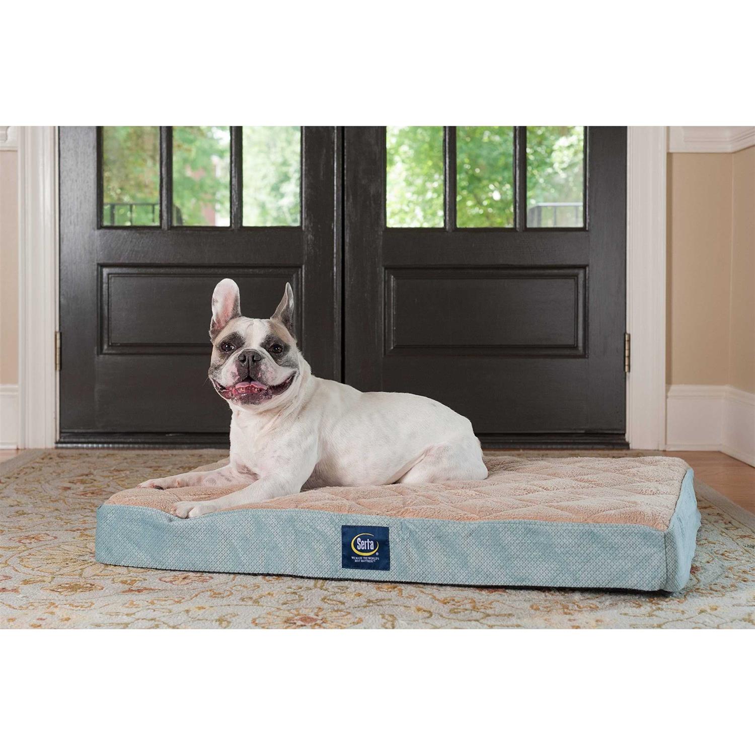 Serta Ortho Foam Quilted Pillowtop Pet Bed - Nail Gallerys