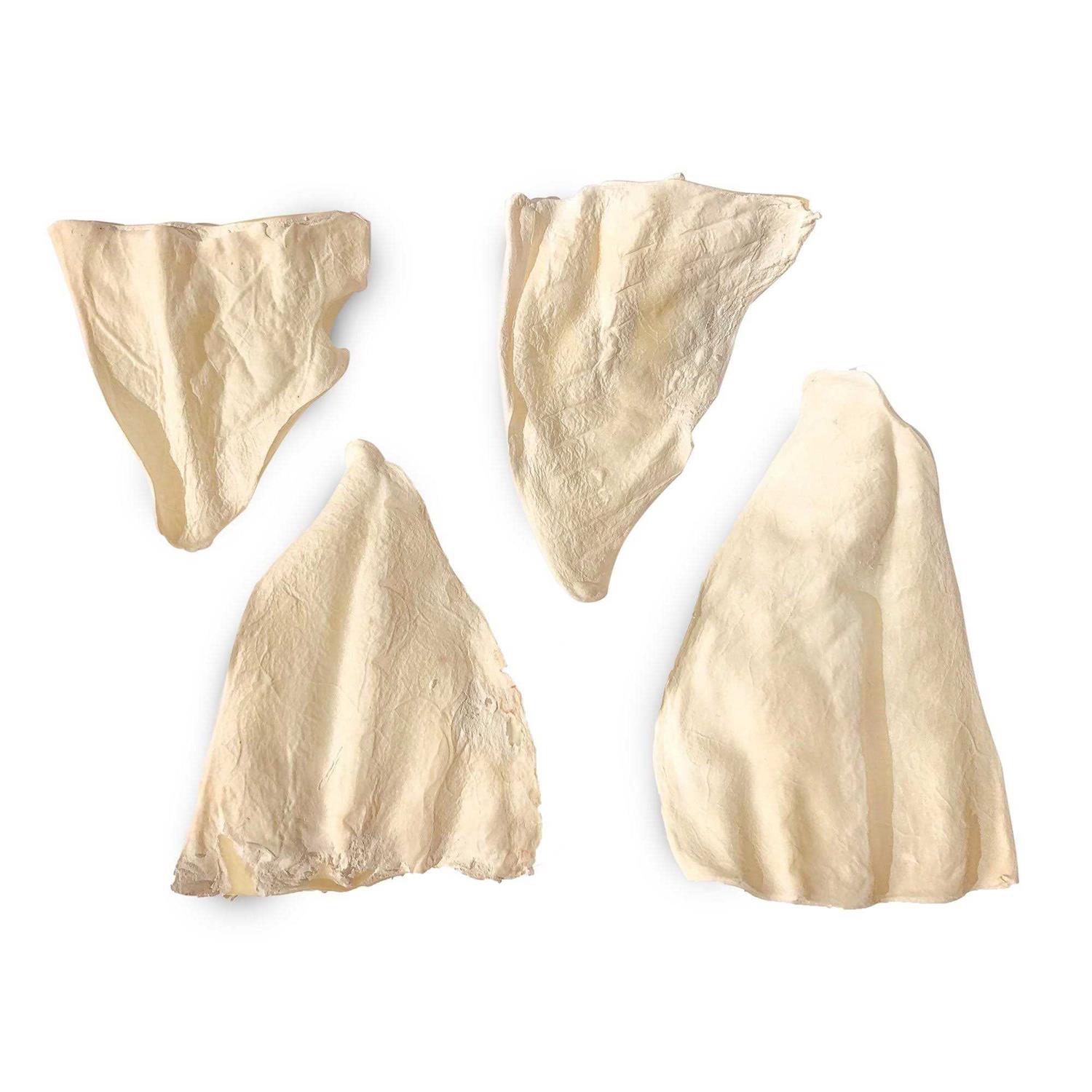 Jack & Pup Cow Ears - Nail Gallerys