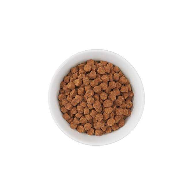 Tiki Cat Born Carnivore Turkey Light Dry Food - Nail Gallerys