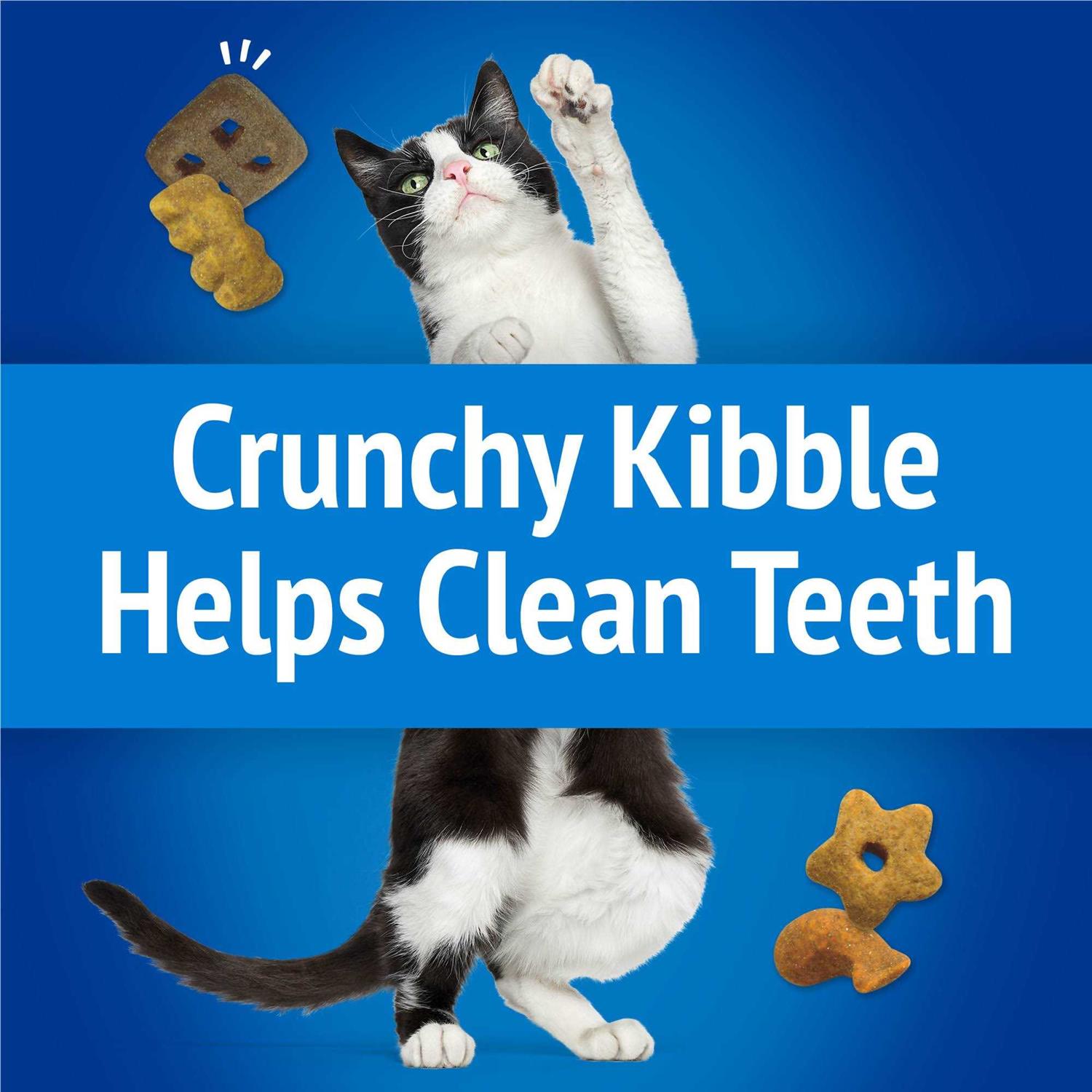 Purina Friskies Beachside Crunch Party Mix Cat Treats - Nail Gallerys