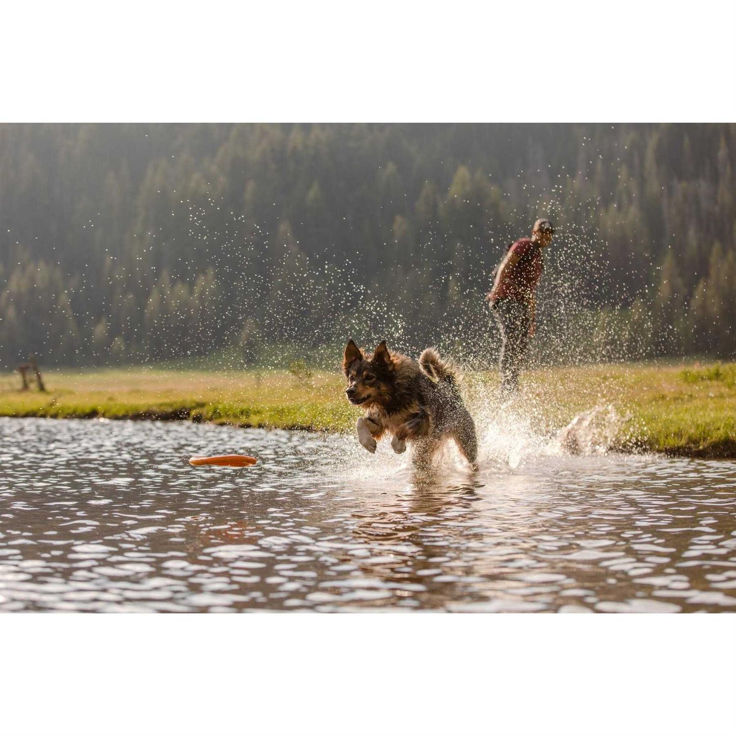 Ruffwear Hydro Plane Toy - Nail Gallerys