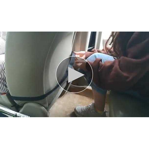 BLOBLO Dog Car Seat Pet Booster Seat Pet Travel Safety Car Seat Dog Bed for Car with Storage Pocket - Nail Gallerys