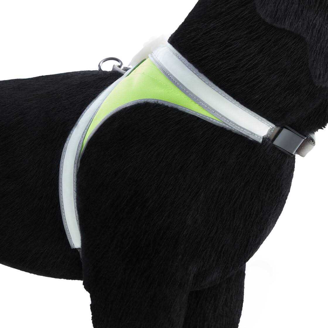Noxgear LightHound LED Illuminated & Reflective Dog Harness - Nail Gallerys