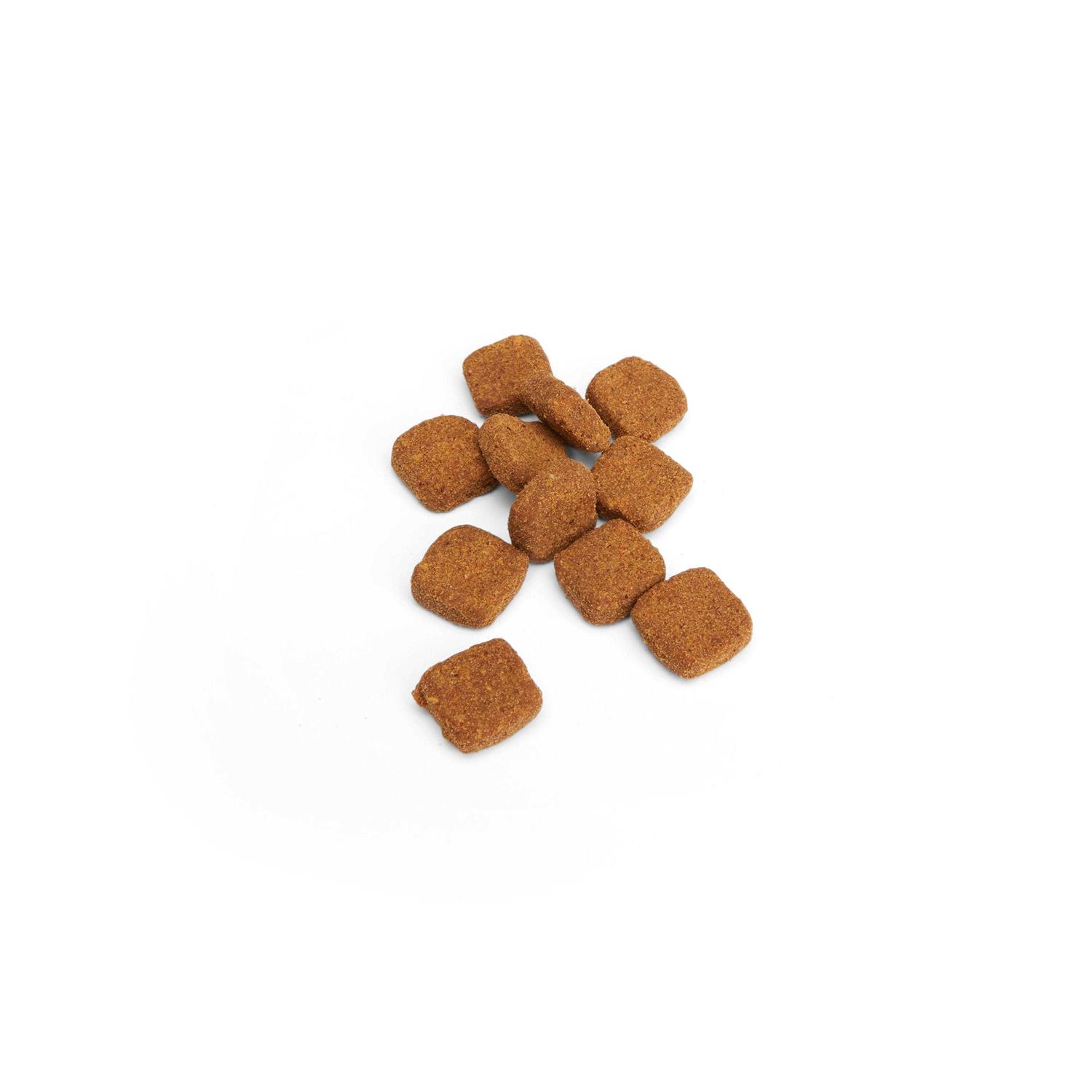 Well & Good Cat Allergy Soft Chews - Nail Gallerys
