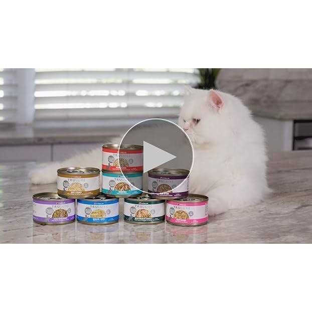 Weruva TruLuxe Steak Frites Beef & Pumpkin Canned Cat Food - Nail Gallerys