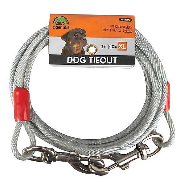 Aspen Pet Dog Tieout (Clear 20 ft) - Nail Gallerys