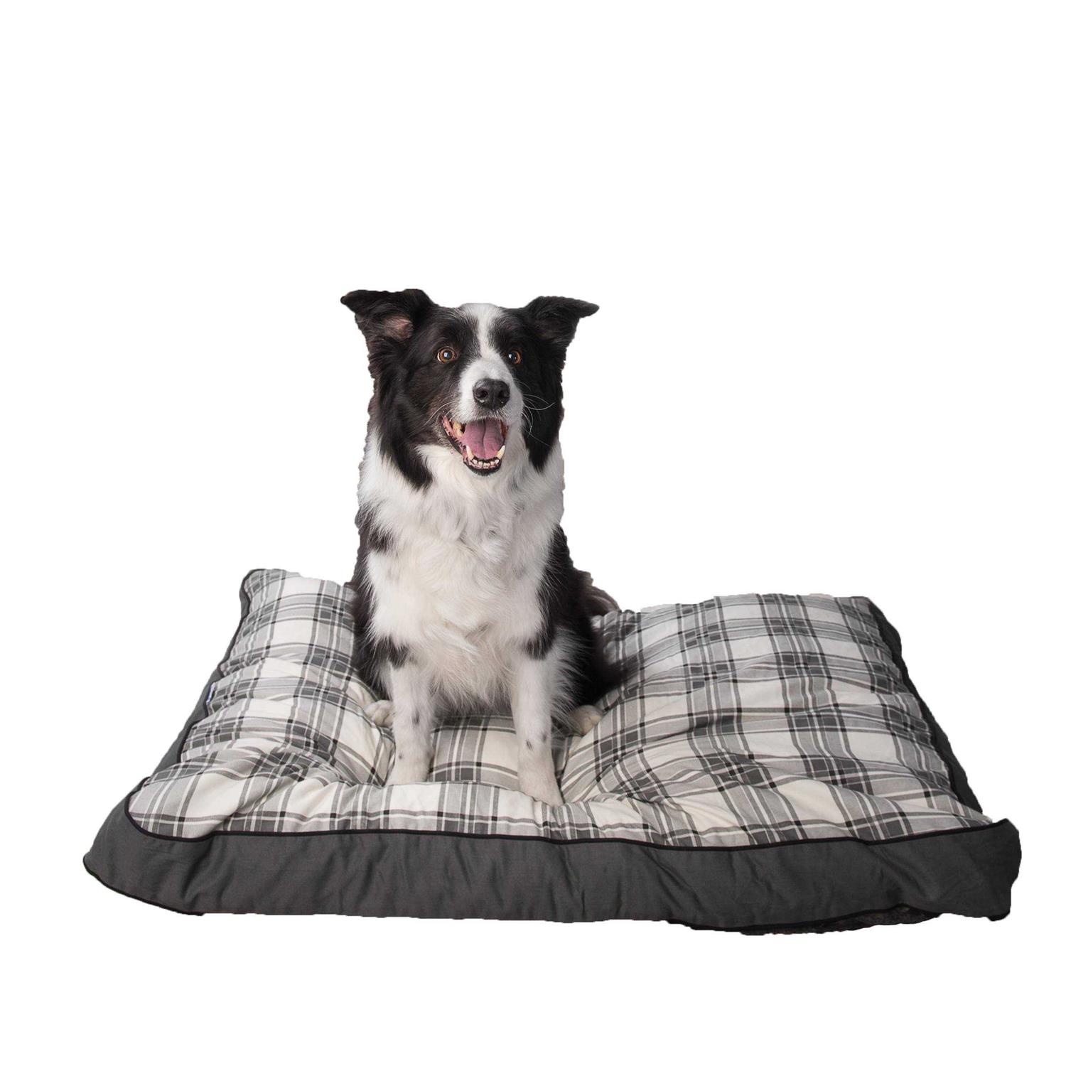 MyPillow Dog Bed - Nail Gallerys