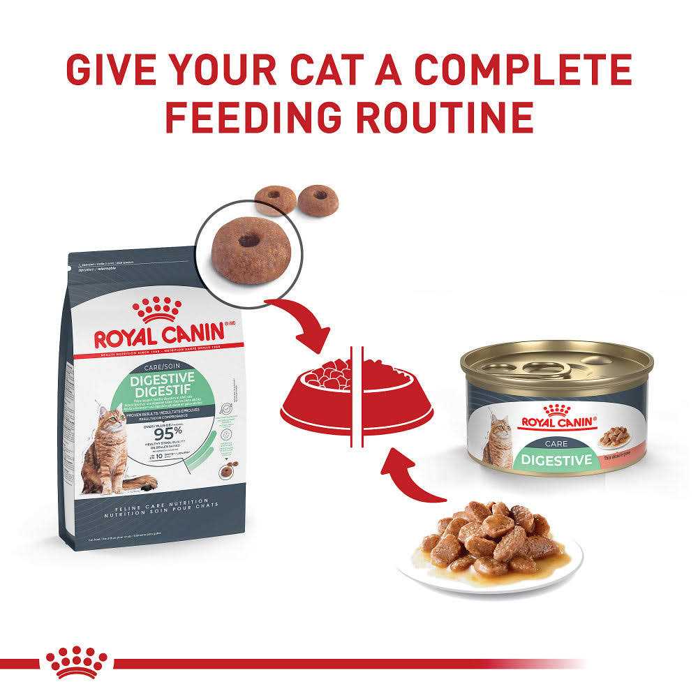 Royal Canin Feline Nutrition Digestive Sensitive Thin Slices in Gravy Canned Cat Food 3-oz - Nail Gallerys