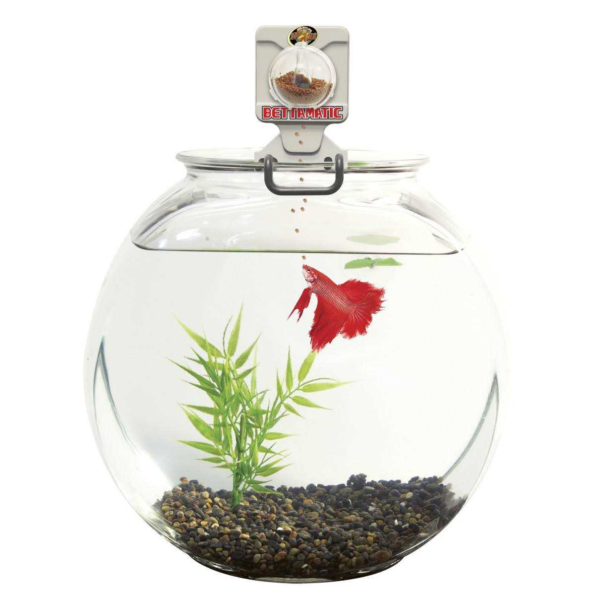 Zoo Med Bettamatic Automatic Daily Betta Feeder - Nail Gallerys