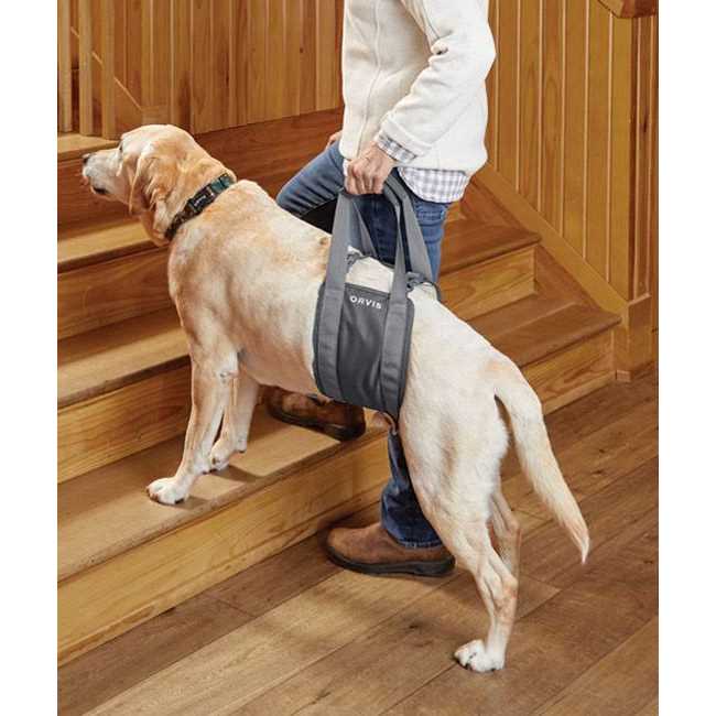 Orvis Gray Rear Dog Lift - Nail Gallerys