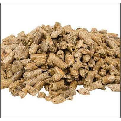 Feline Fresh Natural Pine Cat Litter - Nail Gallerys