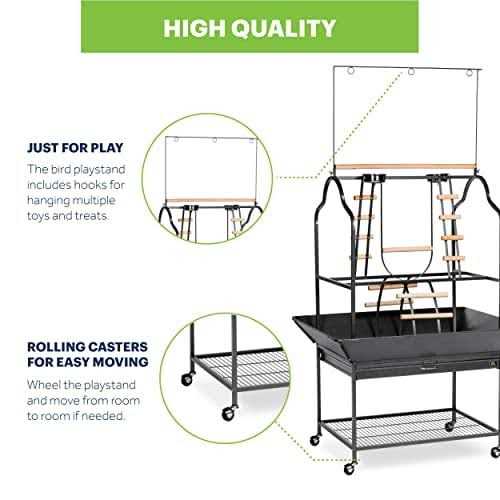 Prevue Pet Products Parrot Playstand - Nail Gallerys