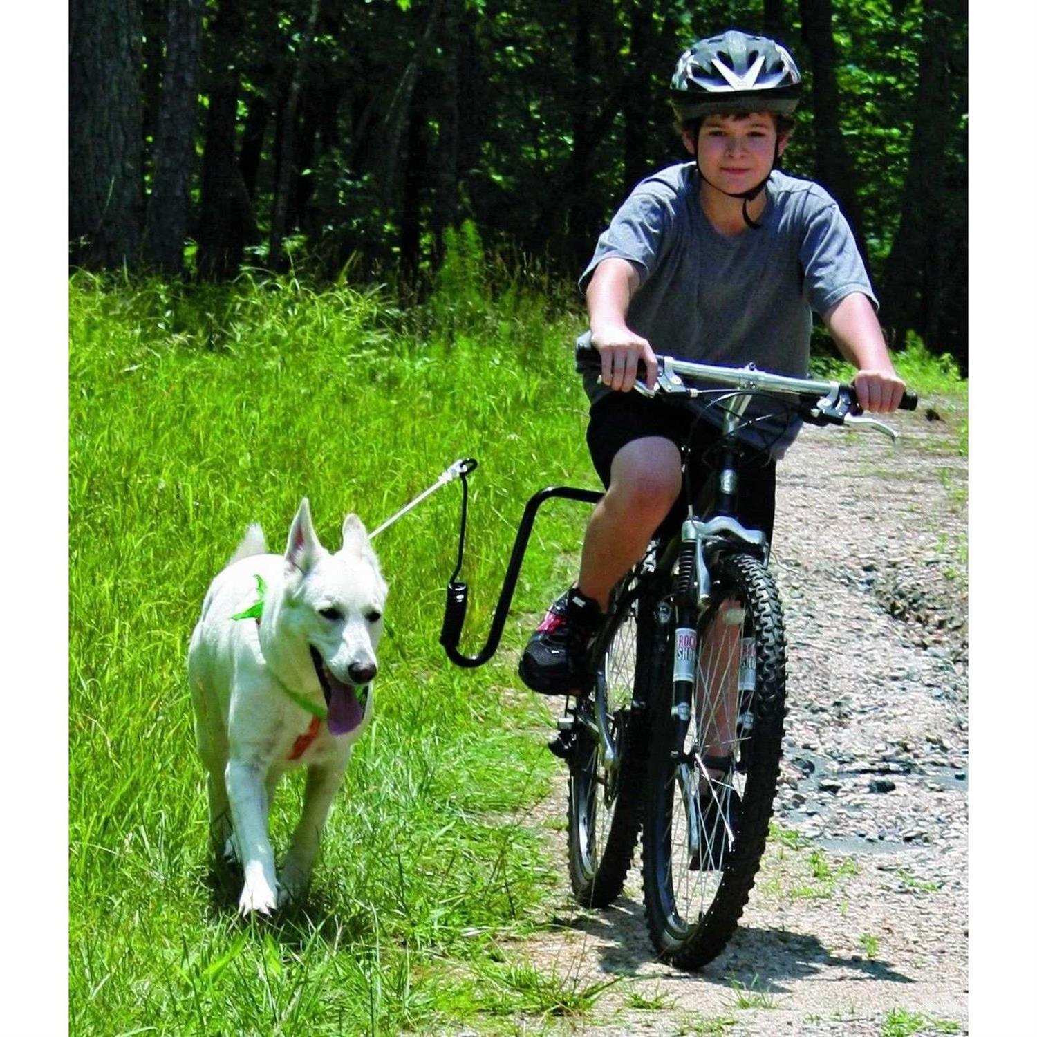 Springer Hands Free Dog Leash Bike Attachment Kit -Pet Exerciser for Running - Nail Gallerys