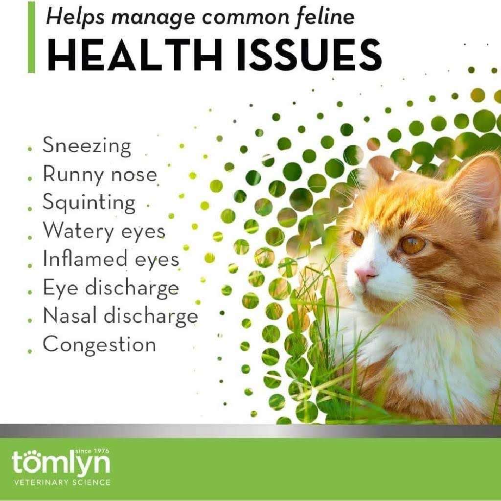 Tomlyn L-Lysine Immune Support Gel for Cats - Nail Gallerys