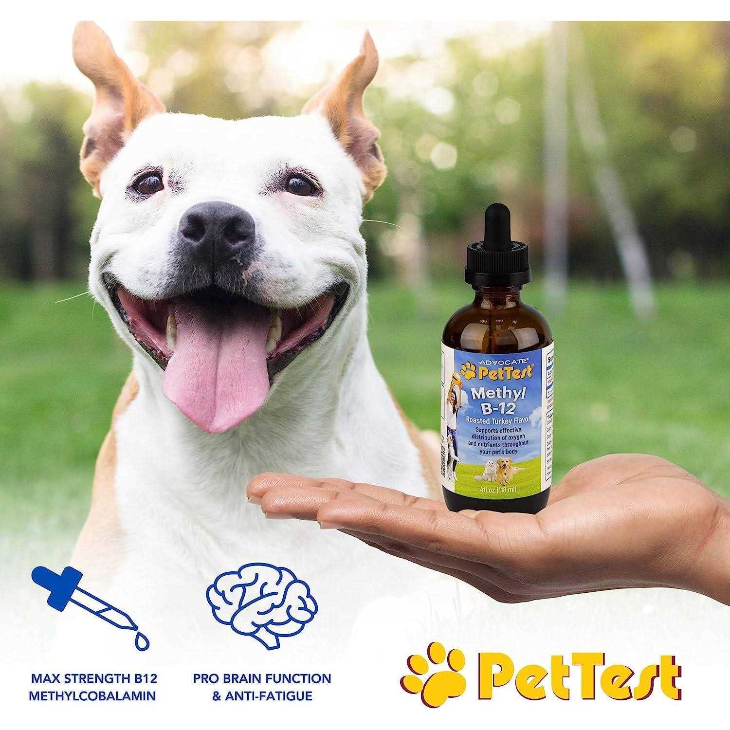 Pettest Methyl B-12 for Diabetic Dogs Cats 4 fl oz - Nail Gallerys