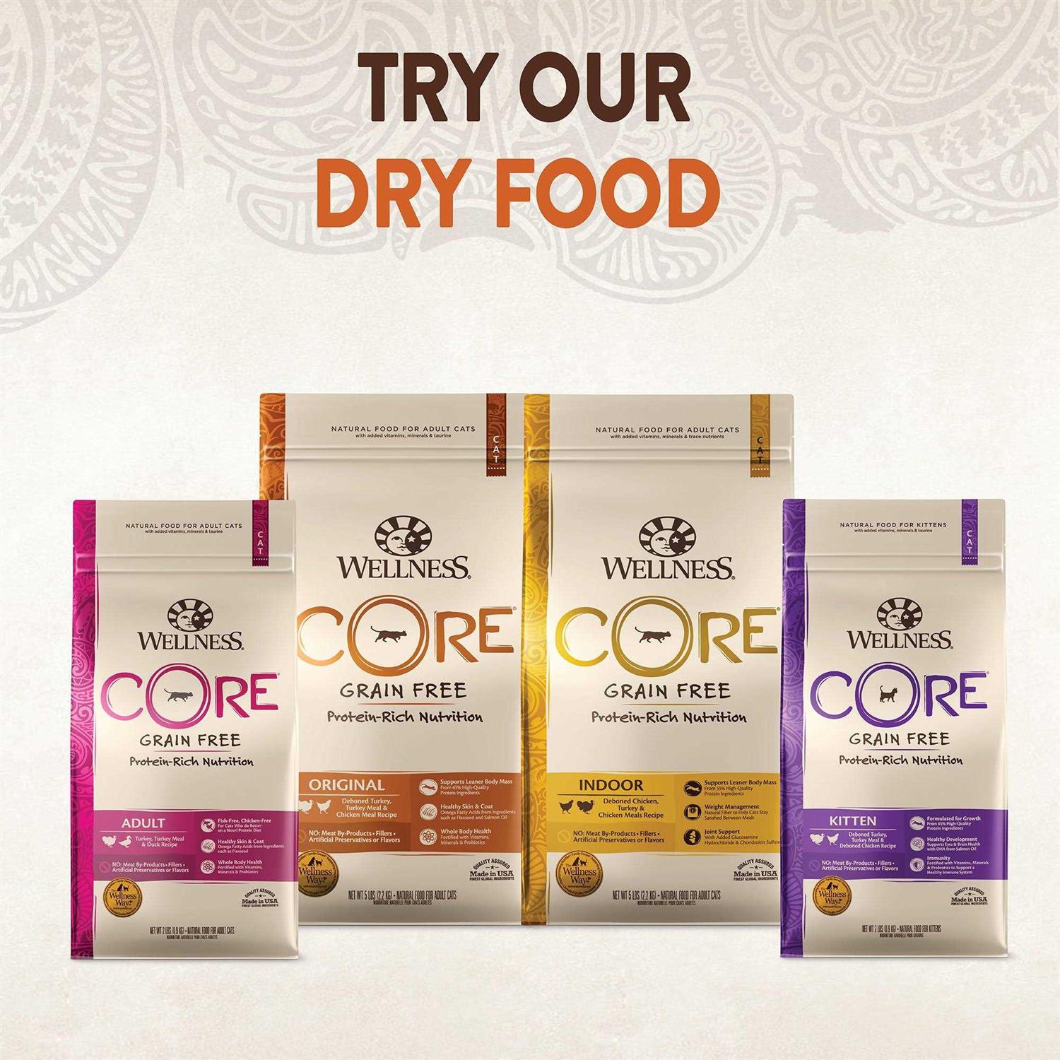 Wellness Core 95% Cat Food - Nail Gallerys