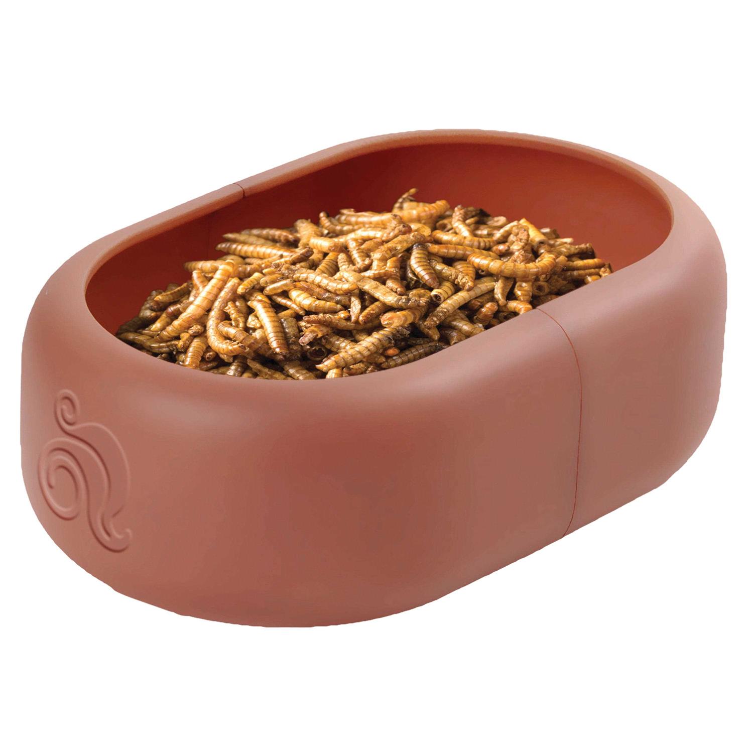 Komodo Smart Mealworm Reptile Feeding Dish for Aquarium or Reptile Tank - Nail Gallerys