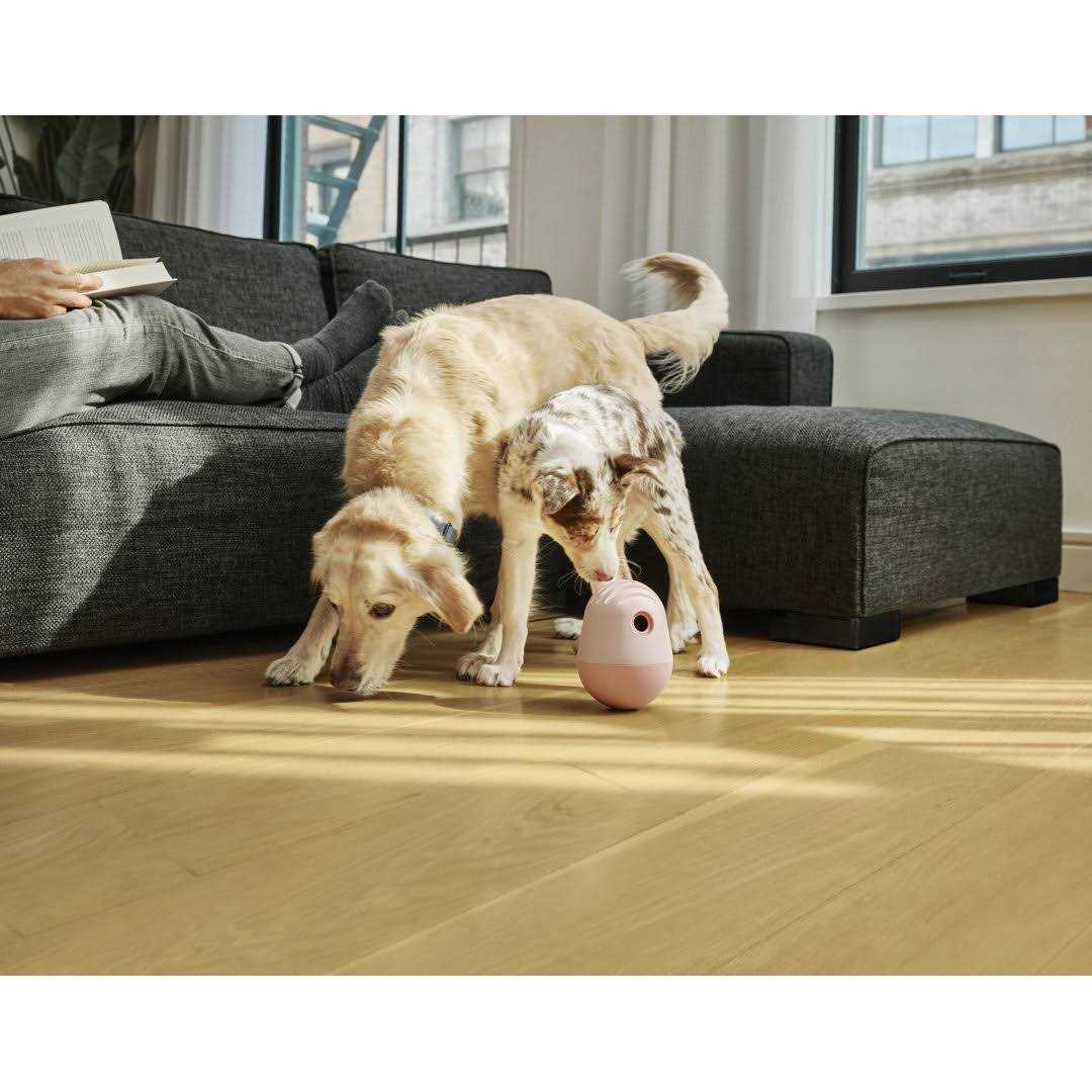 Fable Pets The Game Dog Toy - Nail Gallerys