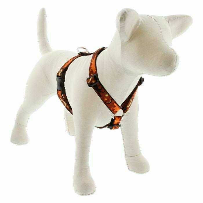 LupinePet Dog Roman Harness - Nail Gallerys