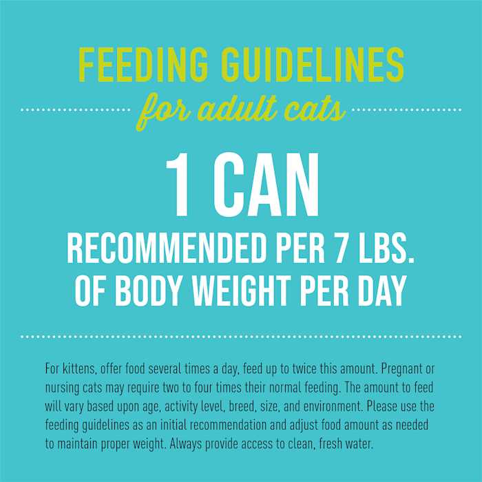 Tiki Cat Luau Pate Wild Salmon Cat Food - Nail Gallerys