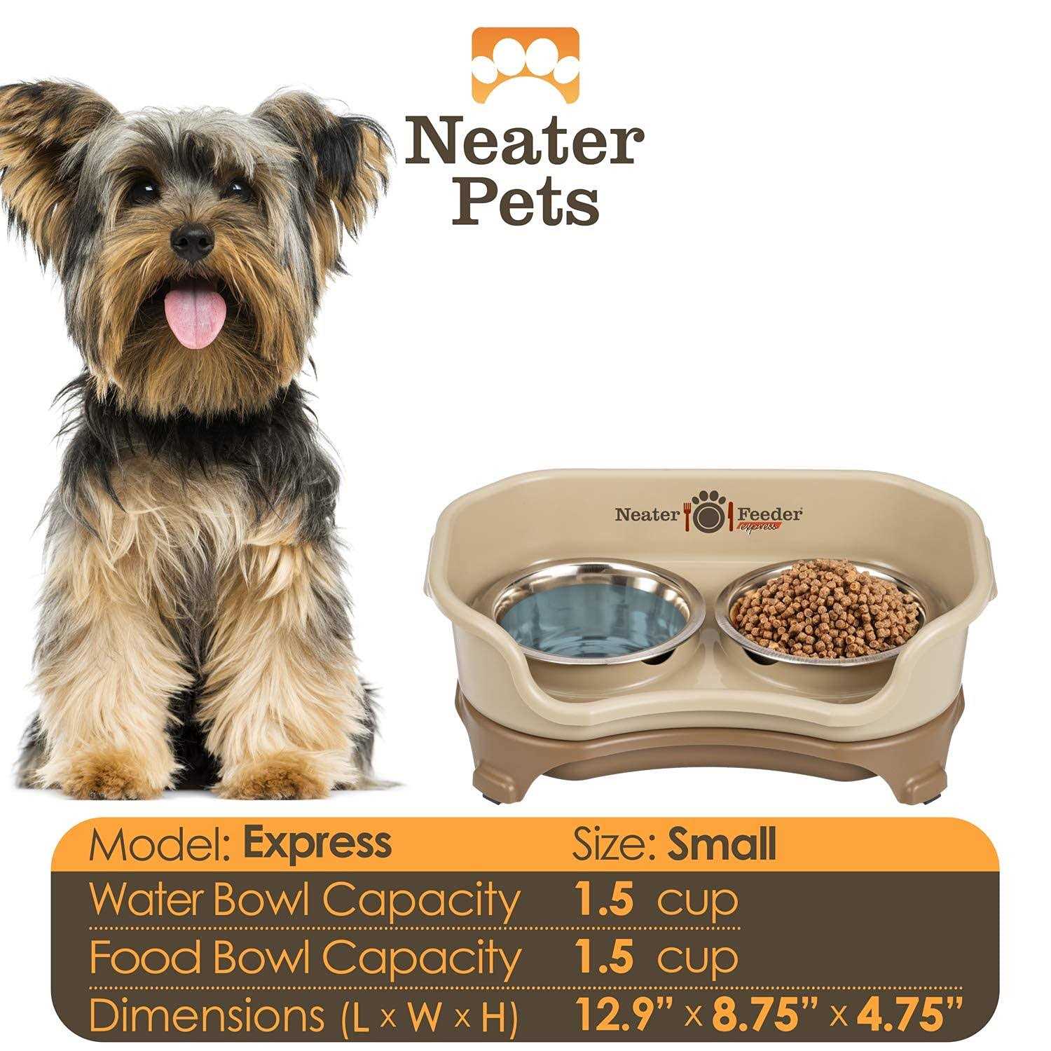 Express Neater Feeder - Nail Gallerys